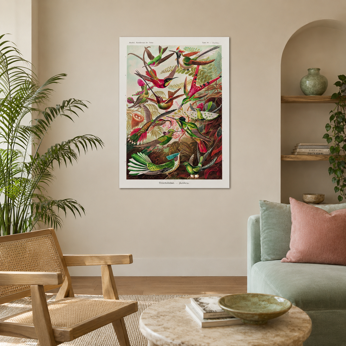 Hummingbirds in Flight — A Vintage Natural History Print
