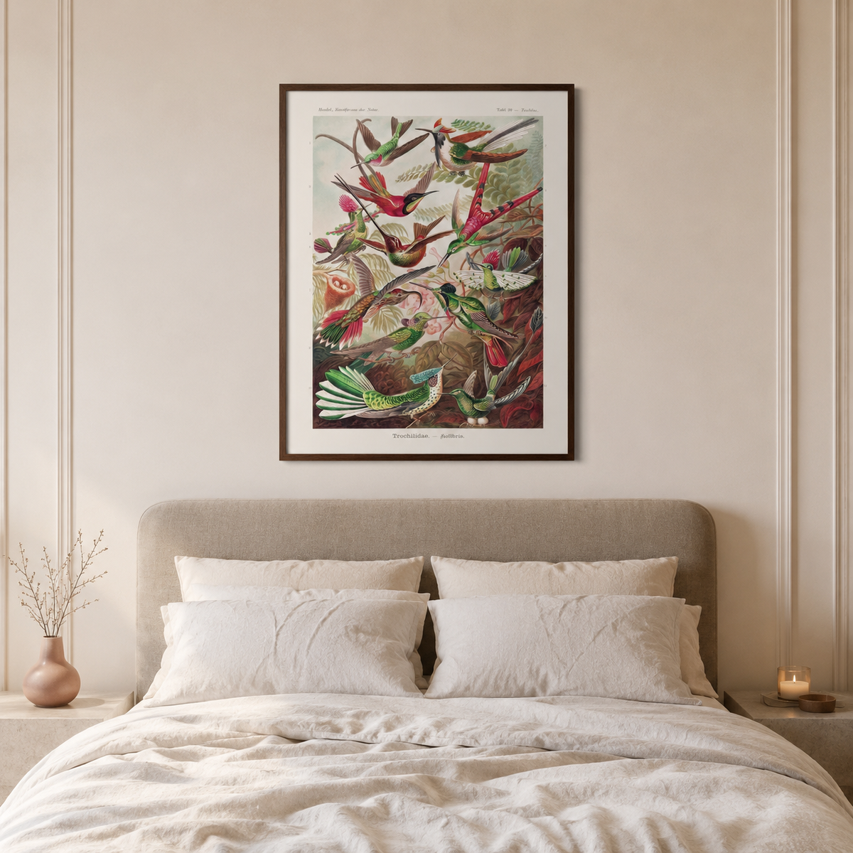 Hummingbirds in Flight — A Vintage Natural History Print