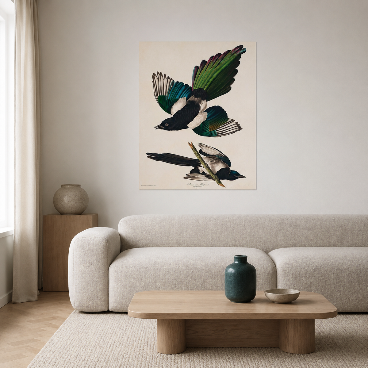 The American Magpie — After Audubon