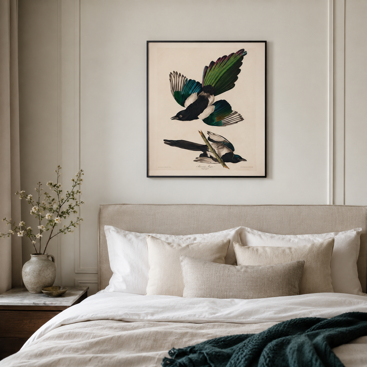 The American Magpie — After Audubon