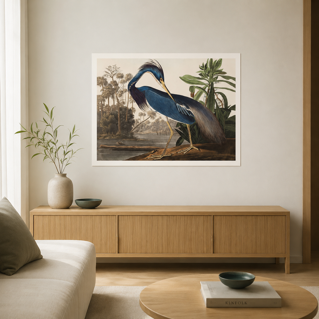 The Louisiana Heron — After Audubon