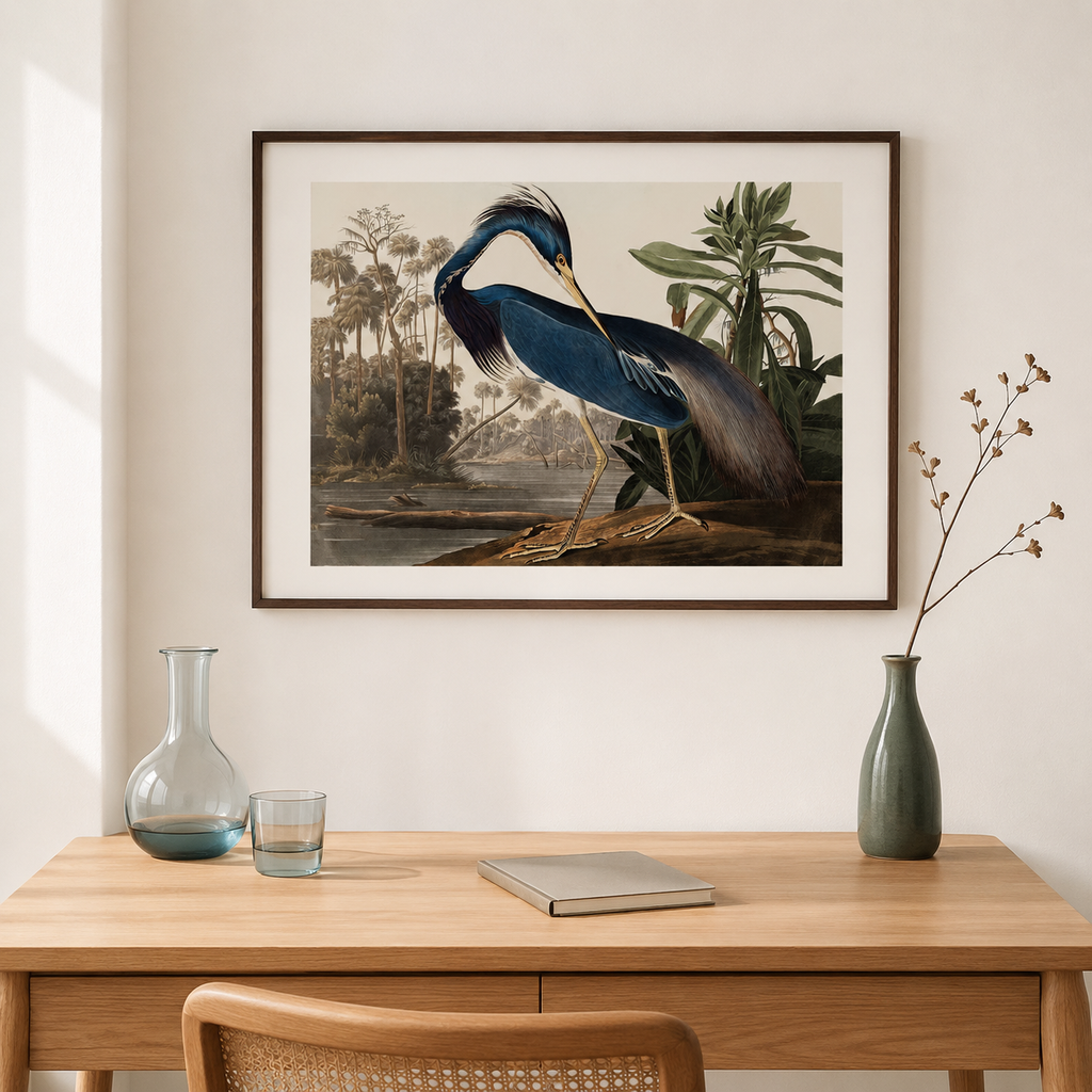 The Louisiana Heron — After Audubon