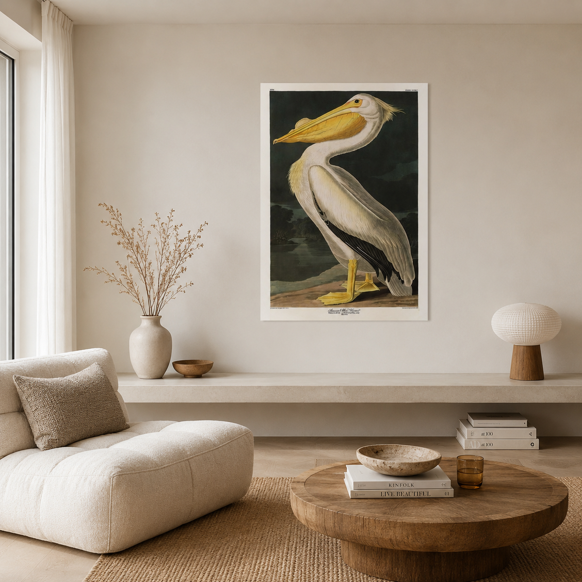 The American White Pelican — After Audubon