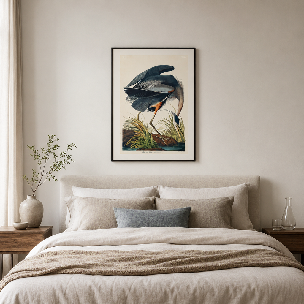 The Great Blue Heron — After Audubon
