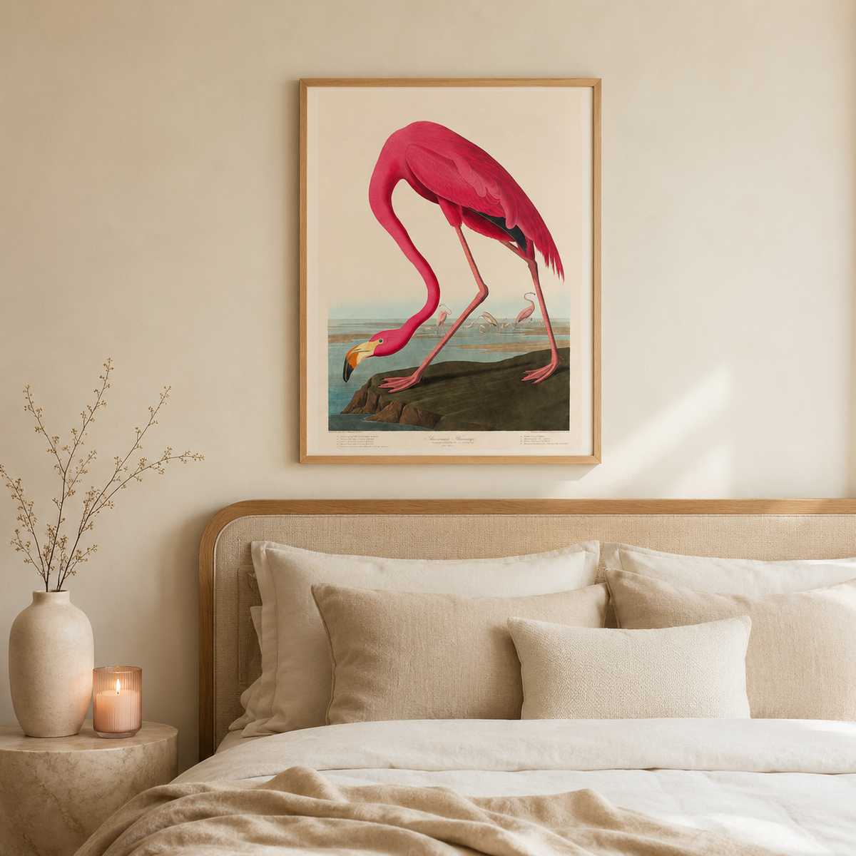 The American Flamingo — After Audubon
