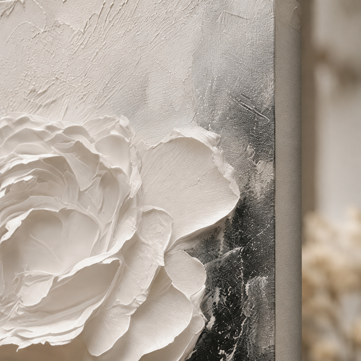 White Rose in Shadow — A Study in Contrast