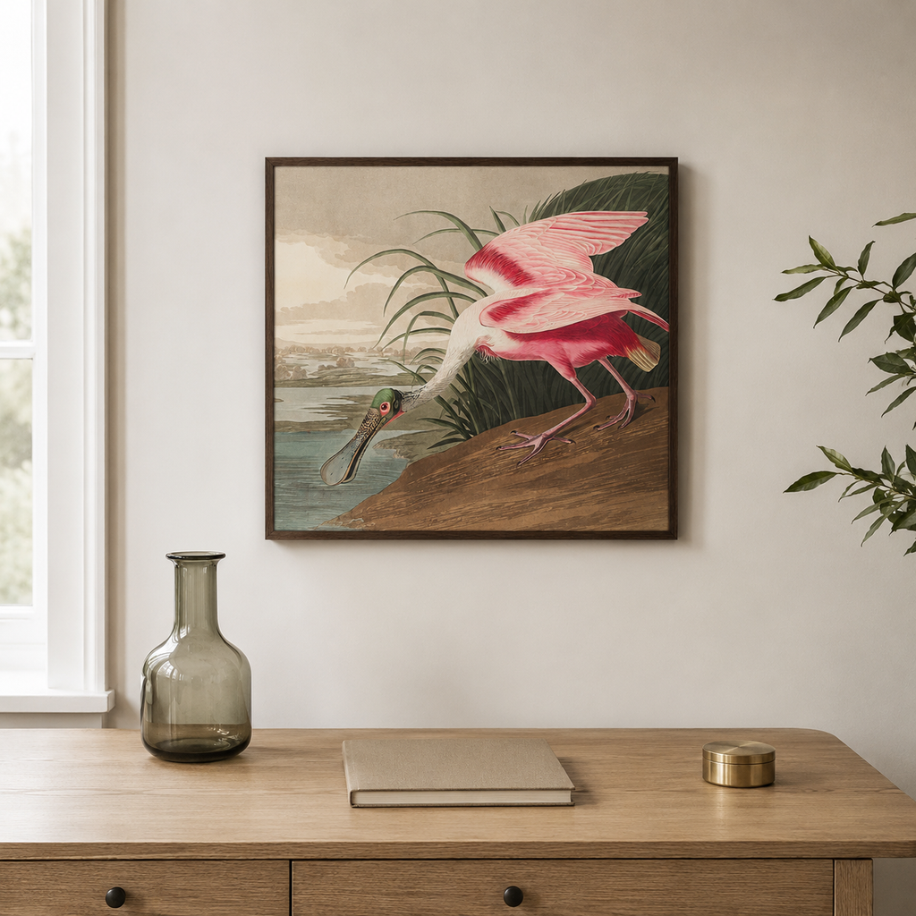 The Roseate Spoonbill — After Audubon